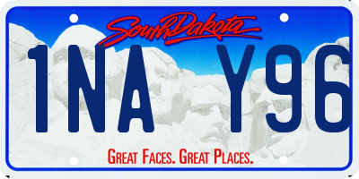 SD license plate 1NAY96