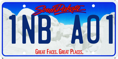 SD license plate 1NBA01