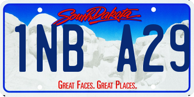 SD license plate 1NBA29