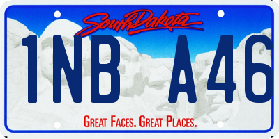 SD license plate 1NBA46