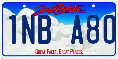 SD license plate 1NBA80