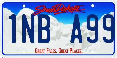 SD license plate 1NBA99