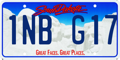 SD license plate 1NBG17