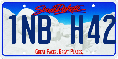 SD license plate 1NBH42