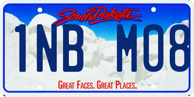 SD license plate 1NBM08