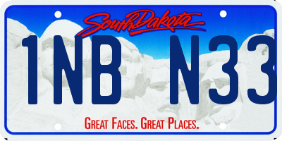 SD license plate 1NBN33