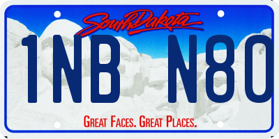 SD license plate 1NBN80