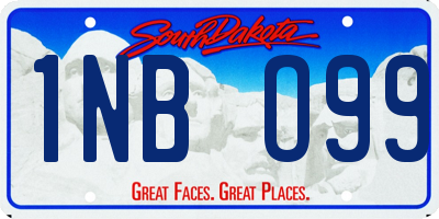 SD license plate 1NBO99