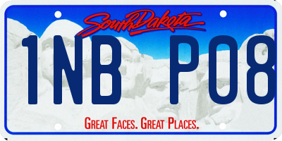 SD license plate 1NBP08