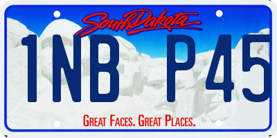 SD license plate 1NBP45