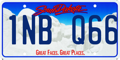 SD license plate 1NBQ66