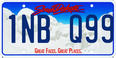 SD license plate 1NBQ99