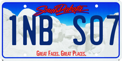 SD license plate 1NBS07