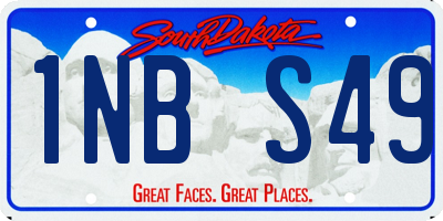 SD license plate 1NBS49
