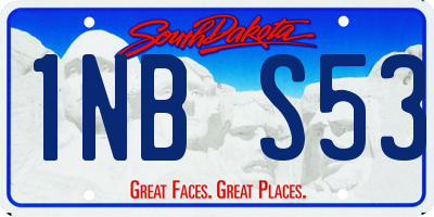 SD license plate 1NBS53