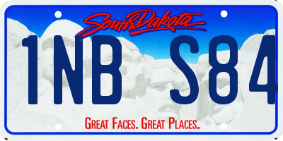 SD license plate 1NBS84