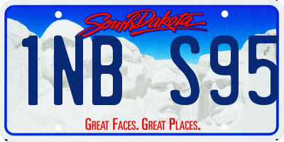 SD license plate 1NBS95