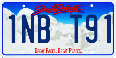 SD license plate 1NBT91