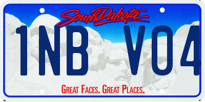 SD license plate 1NBV04