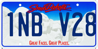 SD license plate 1NBV28