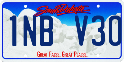 SD license plate 1NBV30