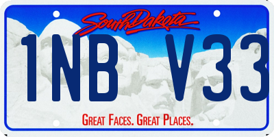 SD license plate 1NBV33