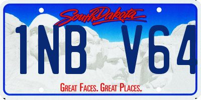 SD license plate 1NBV64