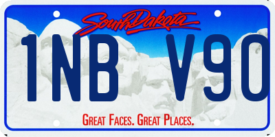 SD license plate 1NBV90