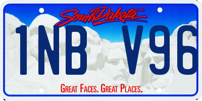 SD license plate 1NBV96