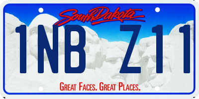SD license plate 1NBZ11