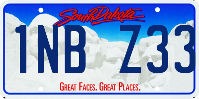SD license plate 1NBZ33