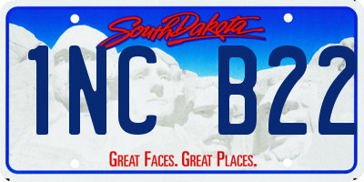 SD license plate 1NCB22