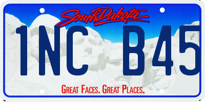 SD license plate 1NCB45