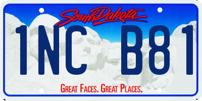 SD license plate 1NCB81