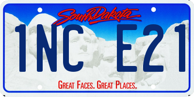 SD license plate 1NCE21