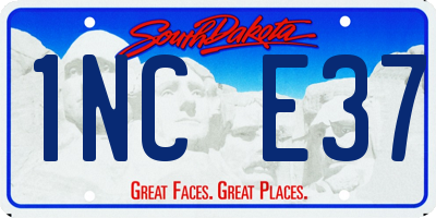 SD license plate 1NCE37