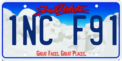 SD license plate 1NCF91