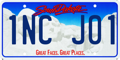 SD license plate 1NCJ01
