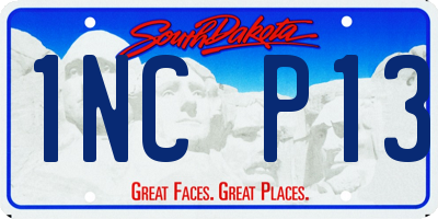 SD license plate 1NCP13