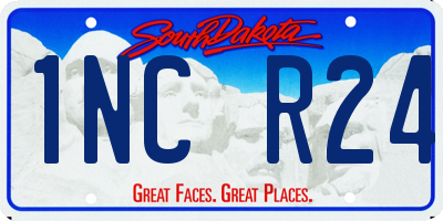 SD license plate 1NCR24