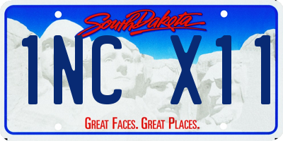 SD license plate 1NCX11