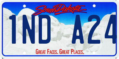 SD license plate 1NDA24