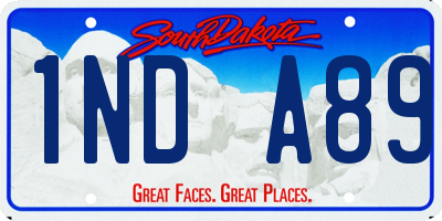 SD license plate 1NDA89