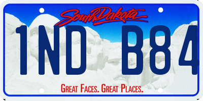 SD license plate 1NDB84