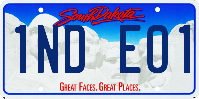 SD license plate 1NDE01