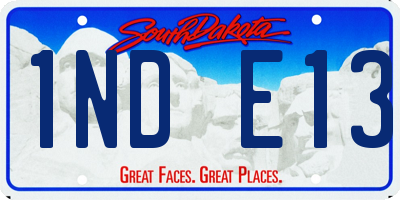 SD license plate 1NDE13