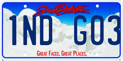 SD license plate 1NDG03