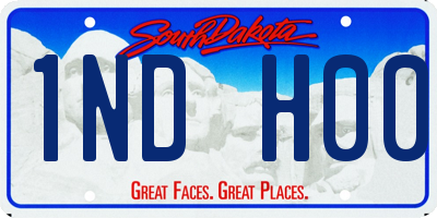 SD license plate 1NDH00