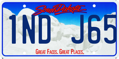 SD license plate 1NDJ65