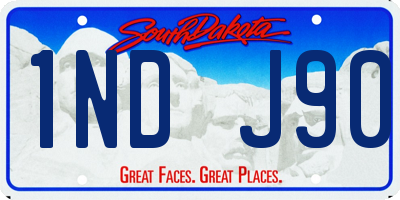 SD license plate 1NDJ90